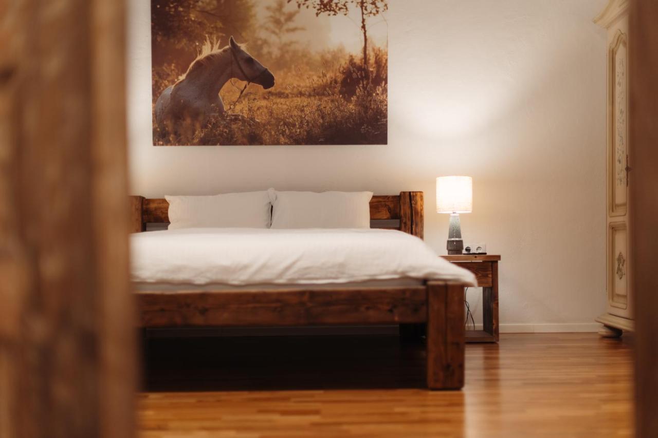 Casa 1901 Aparthotel Baia Mare Luaran gambar
