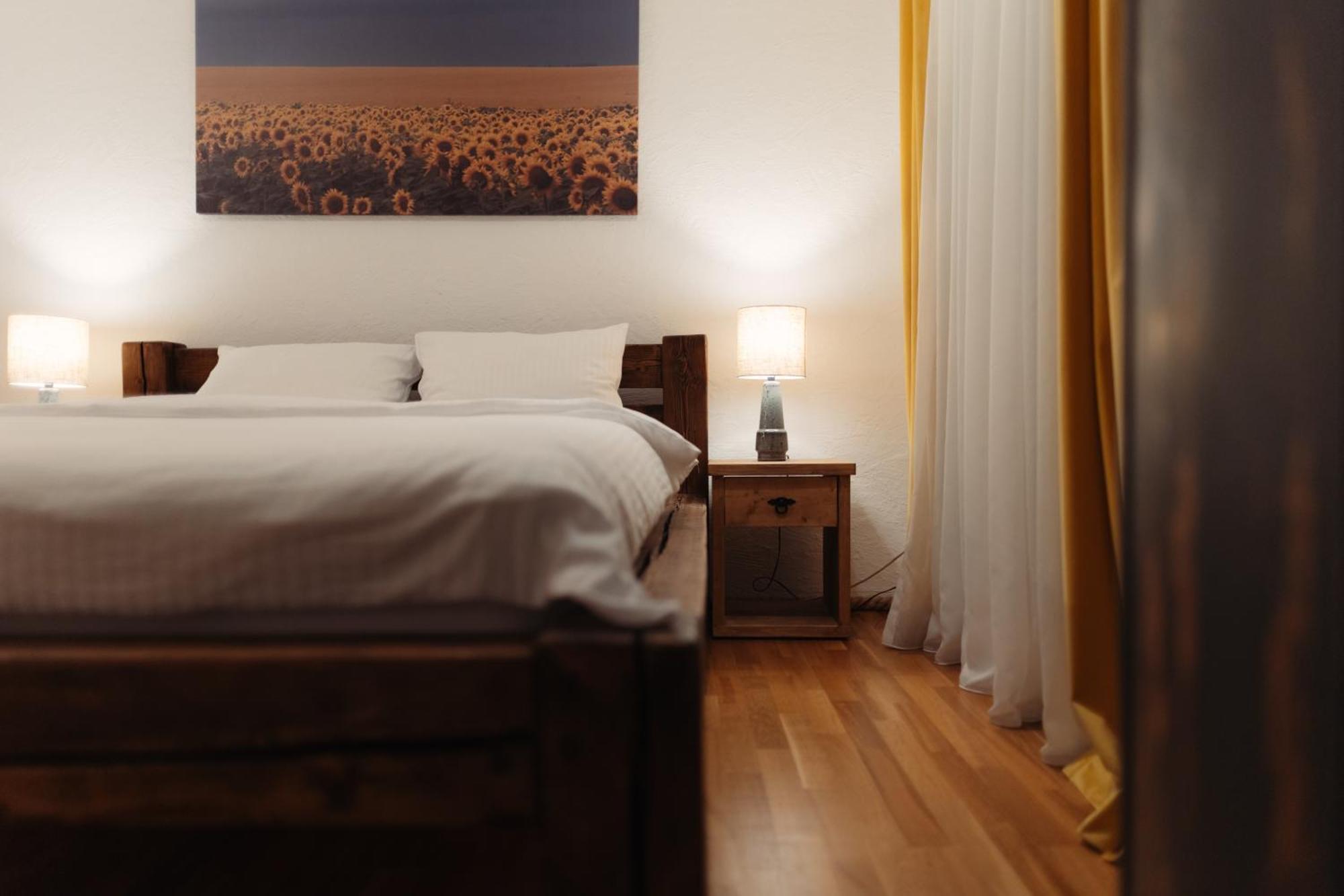 Casa 1901 Aparthotel Baia Mare Luaran gambar